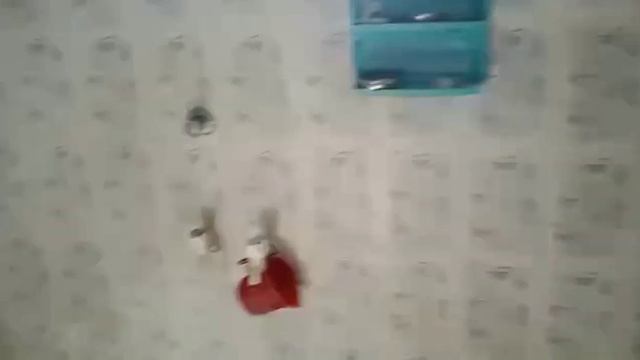 F84f9a1fe3d240c2b89c4a2679975ff5