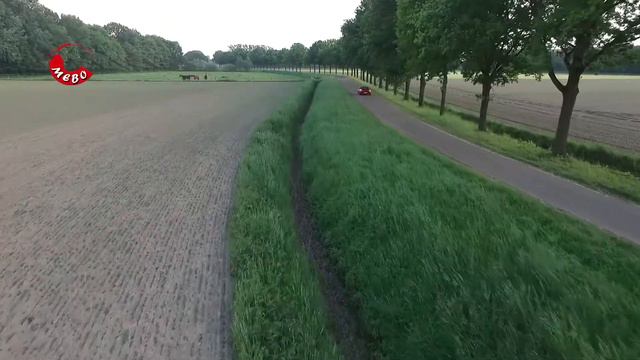 Mebo Bosch Car Service - promotie Mazda MX5