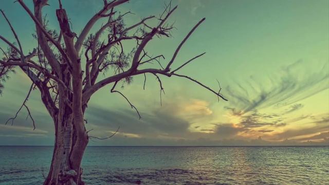 Григор Нарекаци