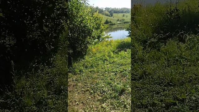 отличное место для отдыха и рыбалки пруд 17 Долгоруковский район Https://vk.com/club213161311