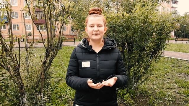 Онлайн-встреча 