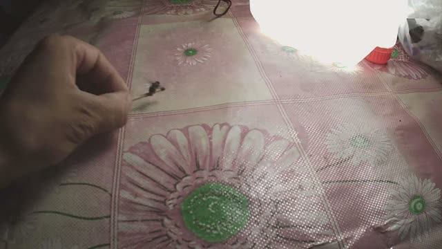 Муха утащила спичку