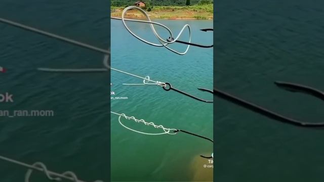 Классический Али...