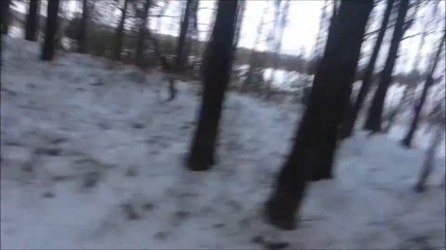 Покатушки на снегоходах #2.Кияшка.2017.