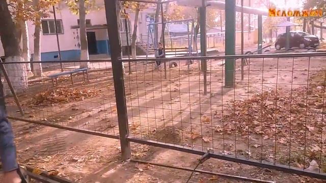 Навес для на улицу / Ko`chaga Naves