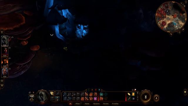 Балдурс гейт 3. Подземье. Лагерь миконидов