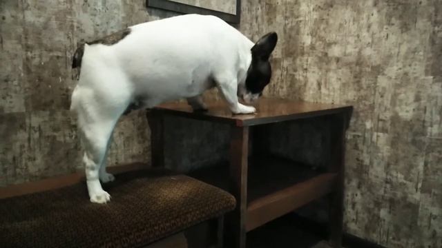 04b837d2fa63d8f9702234f284724629