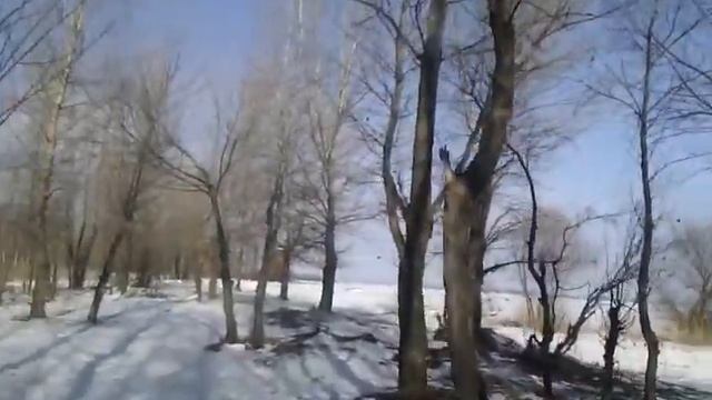 Т4 Черкассы