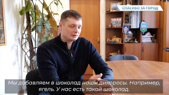 Спасибо за город. Николай Андрейченко