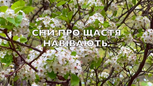 ДОБРОГО РАНКУ/ ЧАРІВНОГО ВЕСНЯНОГО РАНКУ !/ЗНОВ ВЕСНА І ЗНОВ НАДІЇ- ЛЕСЯ УКРАЇНКА