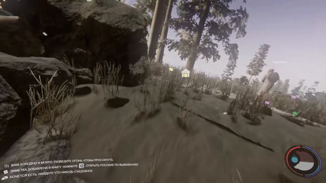 🤍 THE FOREST EDIT 🤍