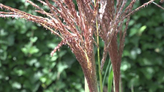 35adc44fe2c999303c95d42332db9ec6