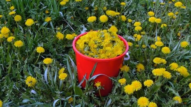 Баев Евг. Шутка  