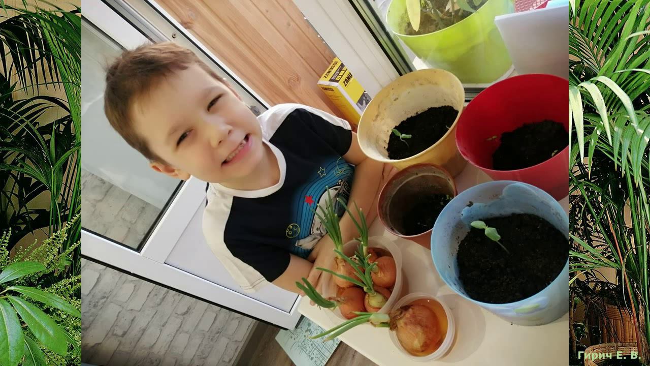 Изучаем мир растений дома 1