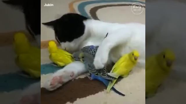 Дружба бывает у всех даже у разных животных