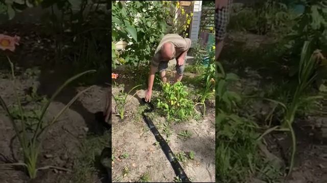 Шланг для полива Silver Fog. Полив дождеванием