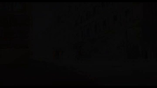 Жил был черный кот