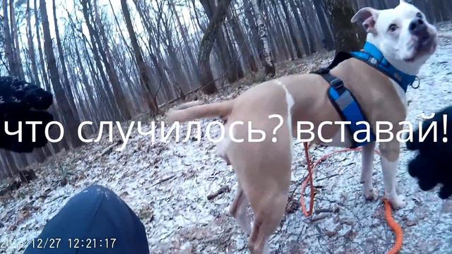 Соня -каникросс 27.12.15