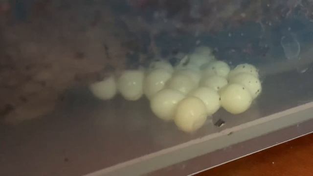 0237a7bba56129848667a69963f1da82