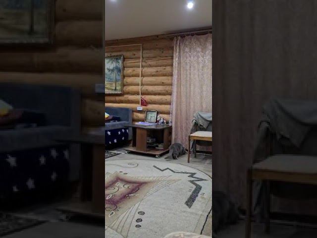 Тоша осматривает дом на даче