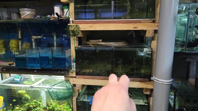 +310 литров и немного перемещений.