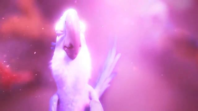 WarmBlood (FULL MEP)