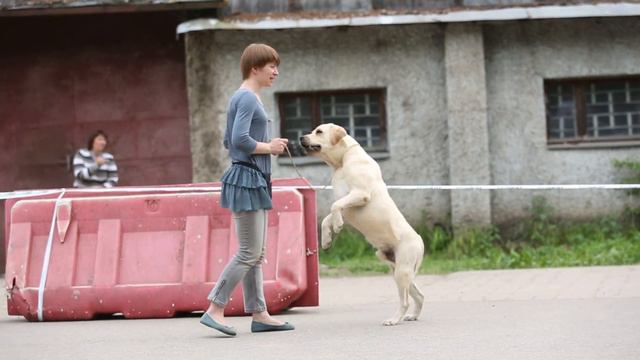Сравнение на ЛК, 27.05.12
