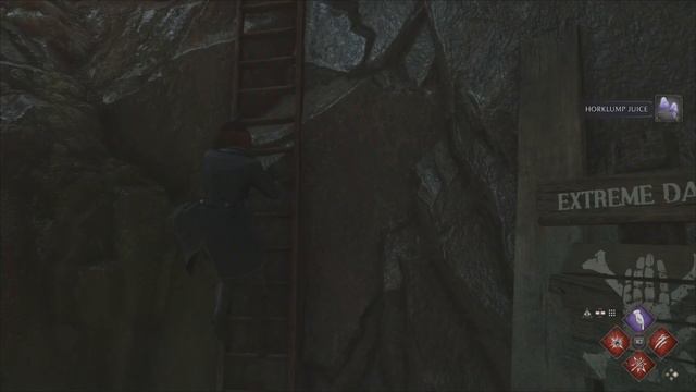 How to Capture A Phoenix - Hogwarts Legacy