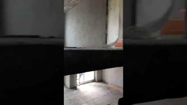 Механизированная Штукатурка стен Владивосток