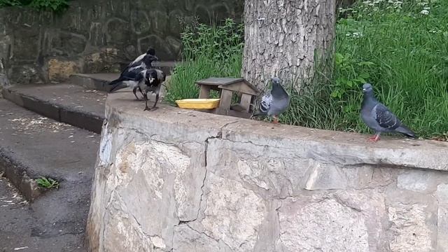 5e502012d4234dec3f711c1330982355