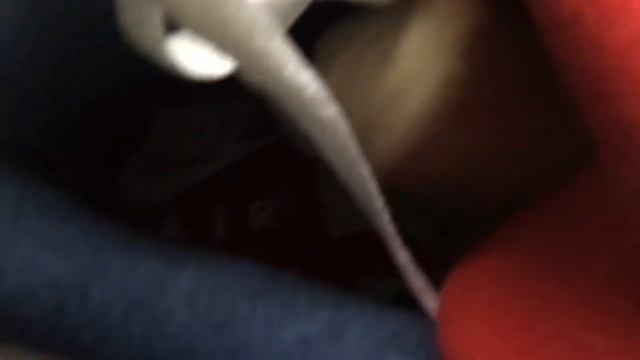 Unboxing Nike Air Jordan 3 OG True Blue Nike Air Heel Tab
