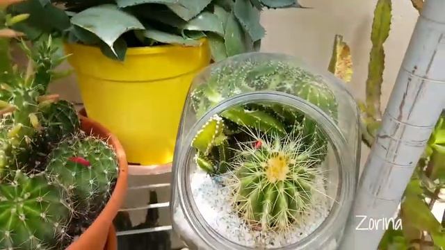 ОН ЖИВЕТ В БАНКЕ