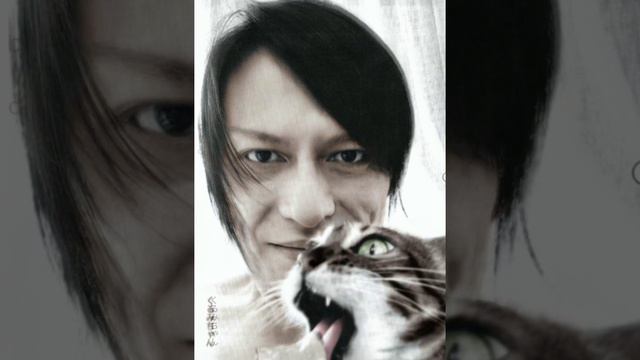 Atsushi Sakurai - Neko