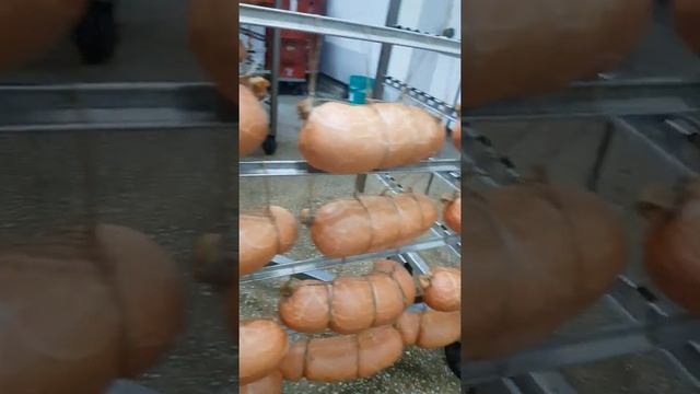 Хазарский. Синюга 115+ Термичка, ведро 3.