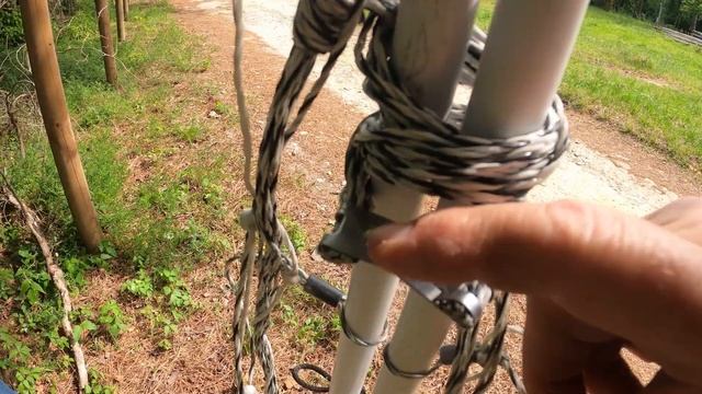 Naughty Goats Escape! | Rotationally Grazing Goats In The Woods