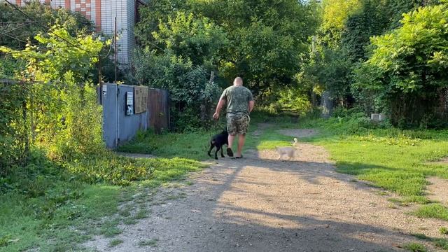 62e0019a19605df1c988d58e64761659