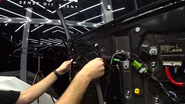 Ремонтные магнолии