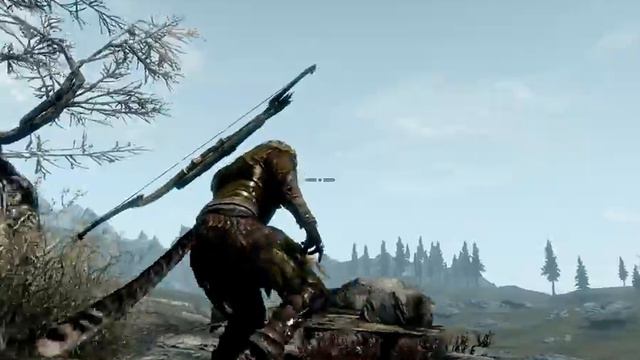 The Elder Scrolls 5 Skyrim Wtf 003 играем за котэ
