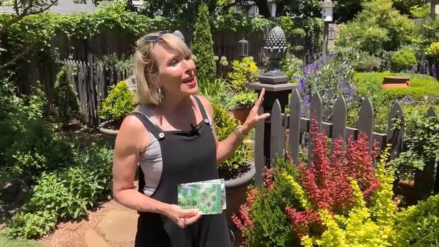 2022 Highlights: 2 Hours Of The Best Videos Of 2022