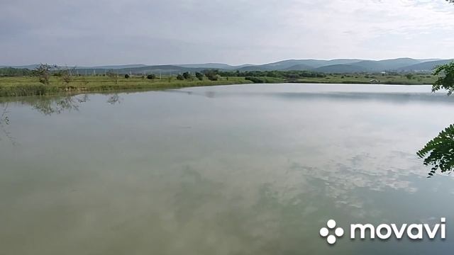 4ed48f10dc0d5e0dbf417ef451b0fd09