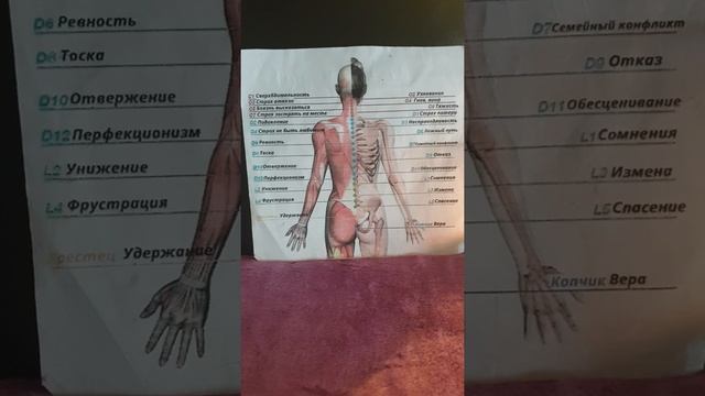 F2831818df83c91ed46a5891f770420a