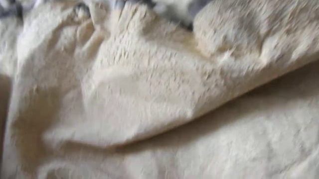 Шкурки кролик рекс (мех кролика рекс)