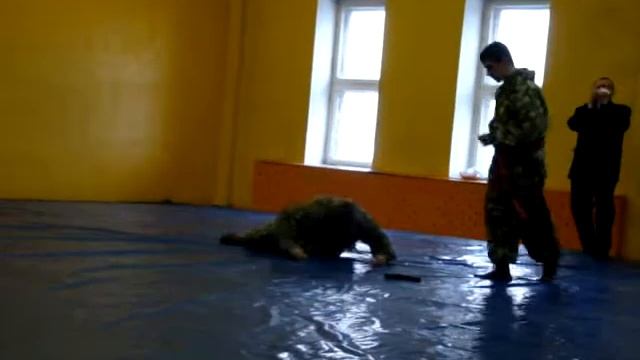 Показытельные выступления