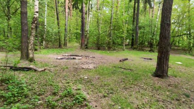 Такой чудесный день; Такой чудесный Я.. Наукоград Королёв Комитетский лес.