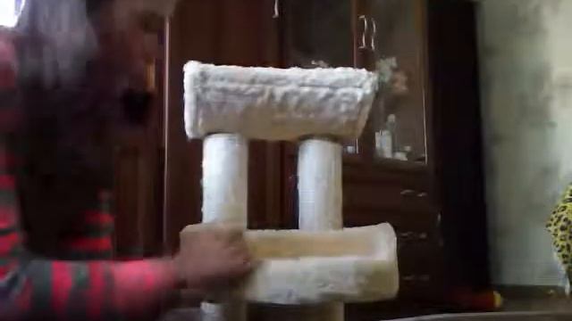 британская голубая кошка