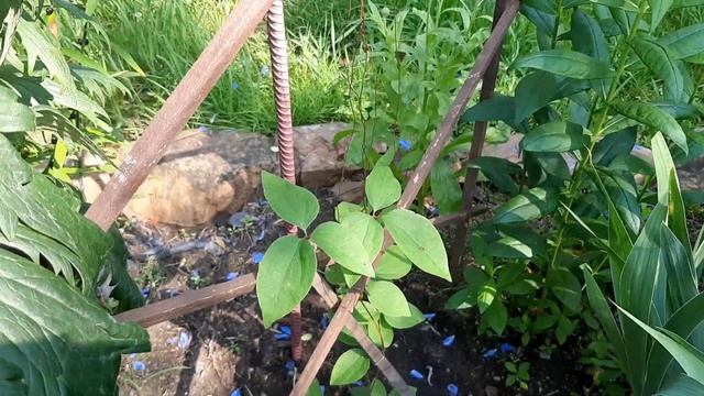 3e6ac4b4b02c2264991f4b5f05cc09c6