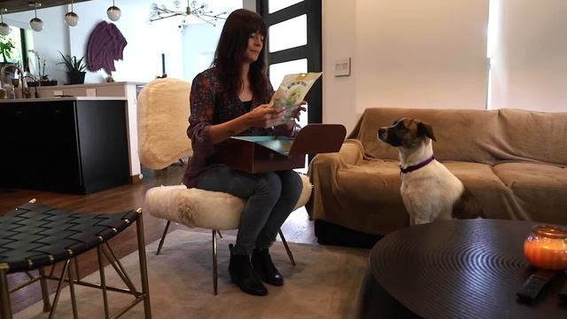 K9 Planet Adventure Box (Indiegogo)