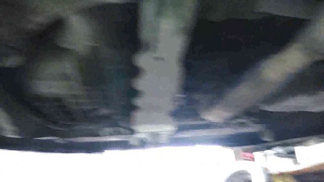 Дмитрий Ярушевич