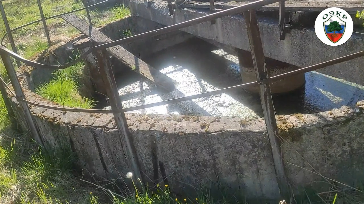 МУТНЫЕ ВОДЫ. ВОСКРЕСЕНСКОЕ