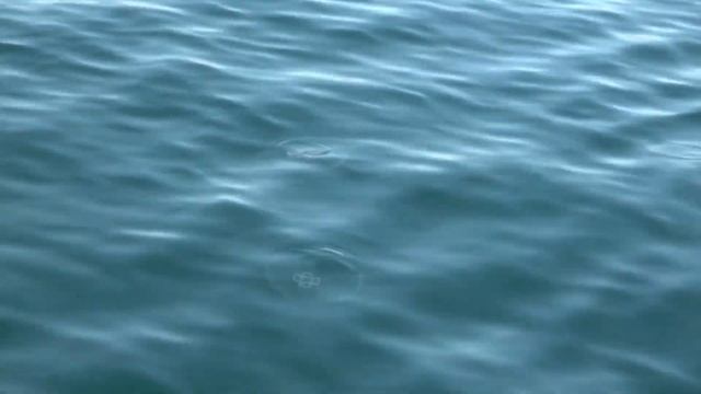 Первенство России в классе 